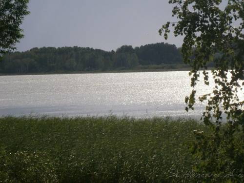 Войковское озеро.