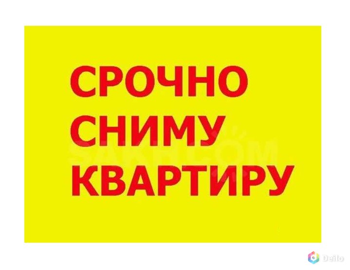 Администрация сайта Шипуново инфо снимет благоустроенную квартиру в Шипуново.