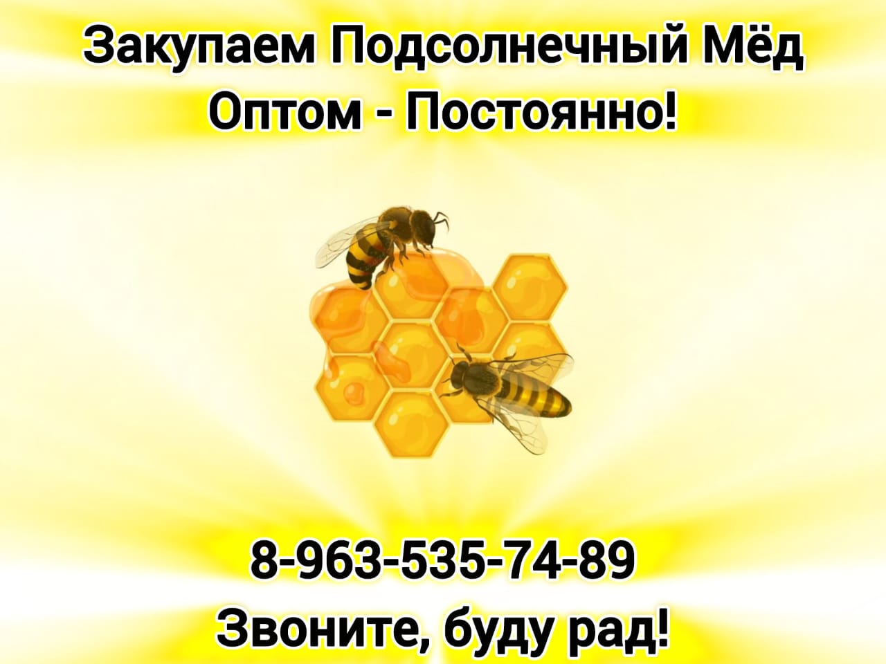 Закупаем подсолнечный мёд оптом-постоянно!