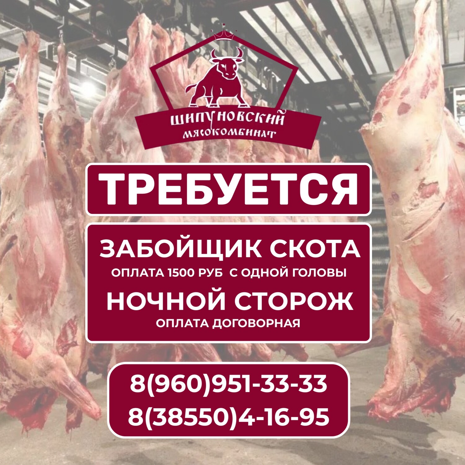 Требуется забойщик скота в Шипуново
