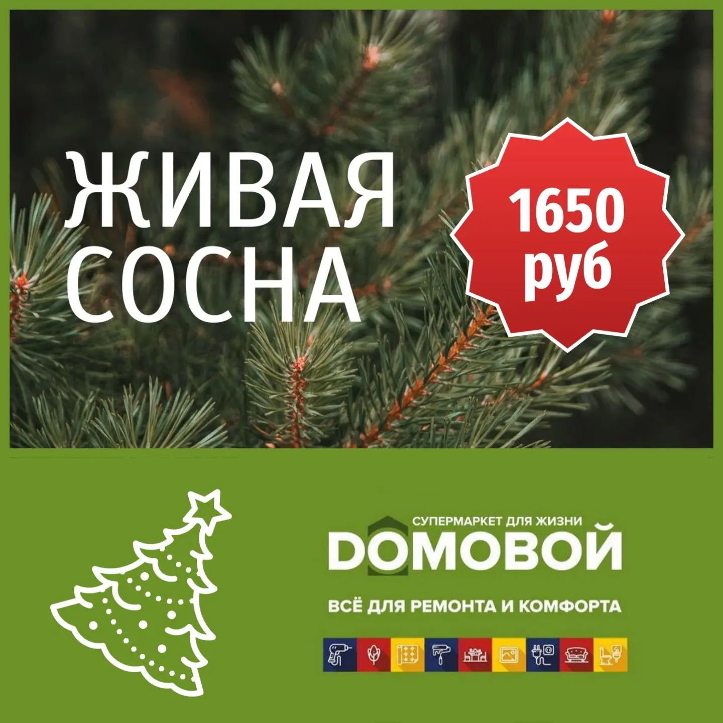 Кликните для увеличения изображения В супермаркете "Домовой" живая сосна прямо из леса!