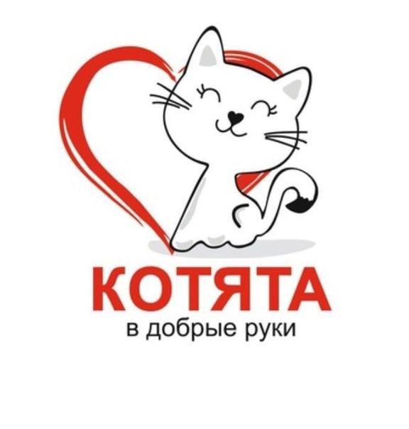 Отдам в добрые руки