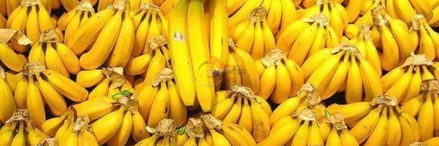 3 бананов в день. Любитель бананов. День банана. Праздник бананов. Праздник банана на Филиппинах.